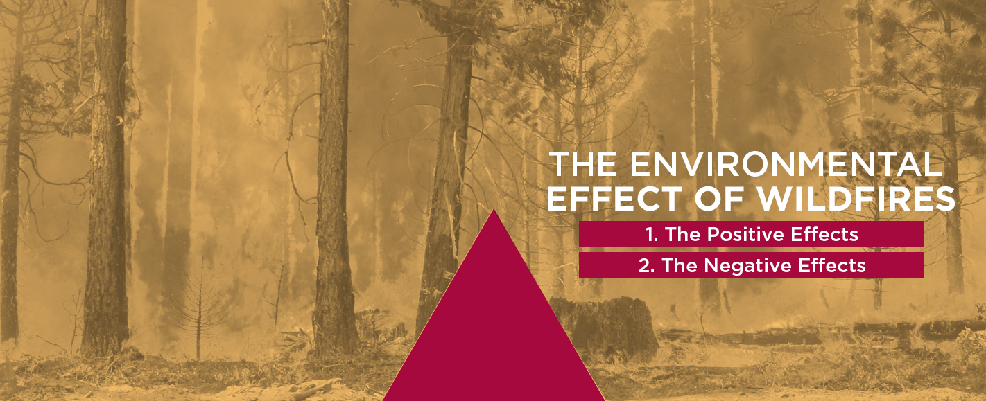 the environmental effects